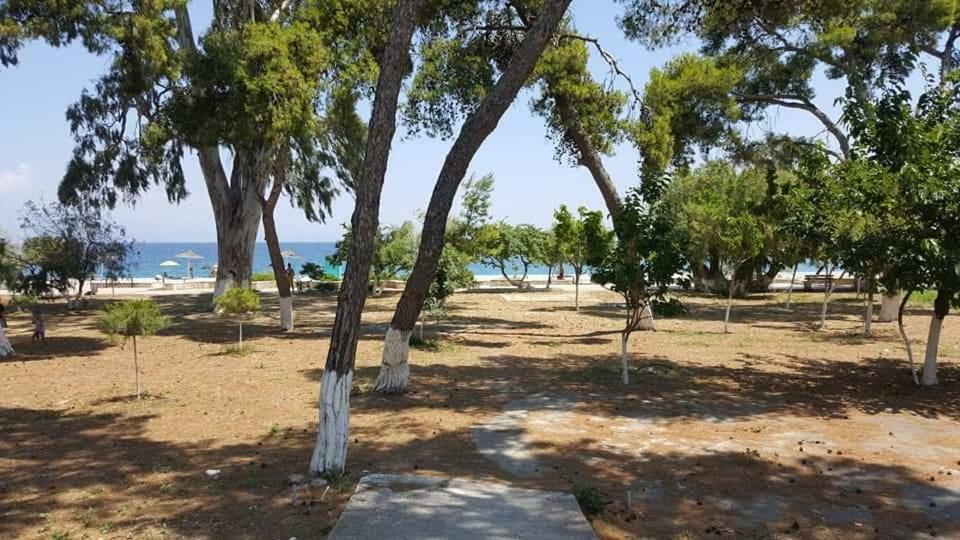 Ενοικιαζόμενα Δωμάτια Πιτσαδιώτη Kiáton Eksteriør billede